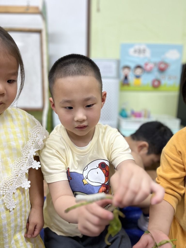 퍼포먼스 미술 (누에고치)