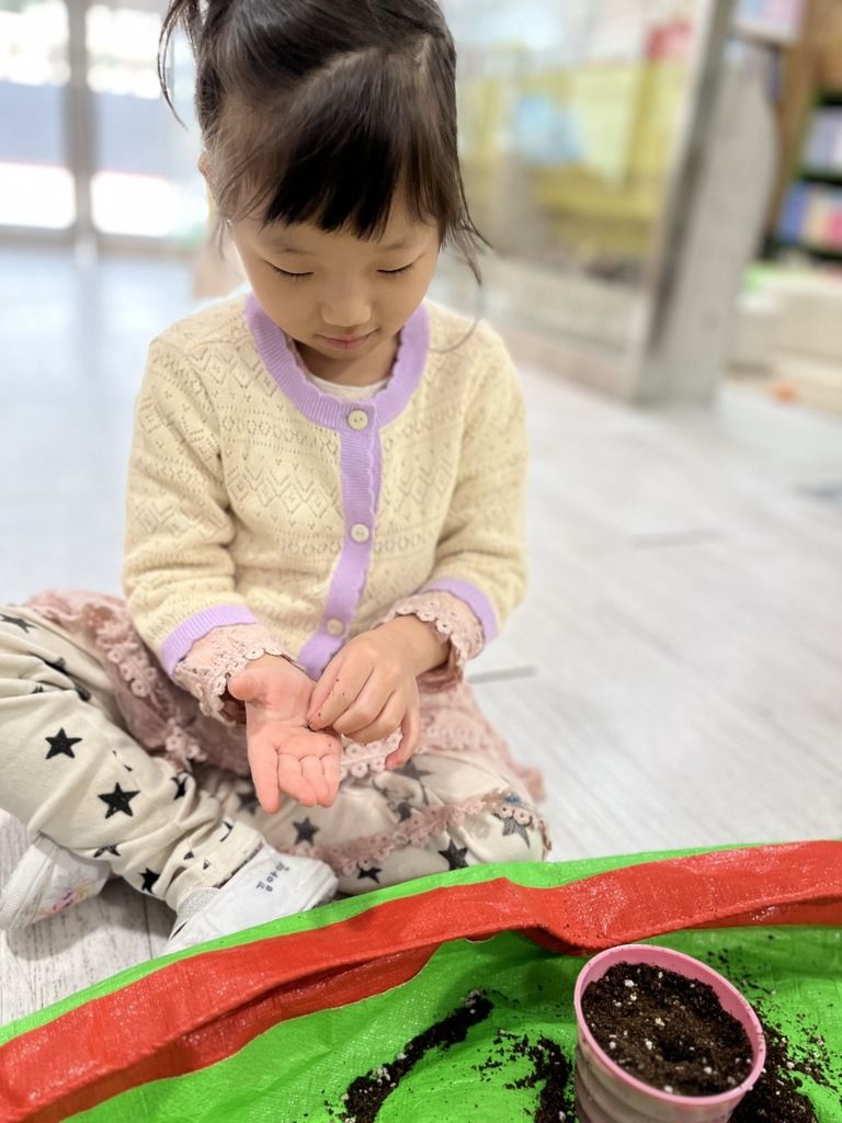 4월5일 식목일 활동 